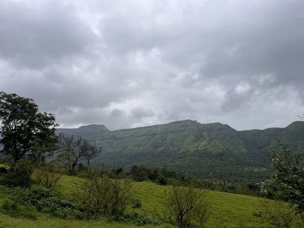 Lost Lagoon Loop | A Secret Waterfall Trail - 4