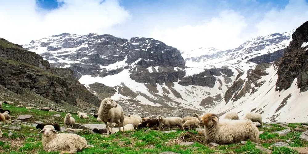 Rupin Pass Trek From Himachal