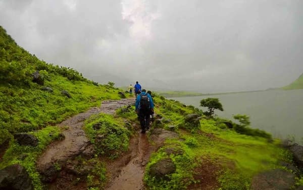 Garbett Plateau | Our Favourite Monsoon Trek - 5