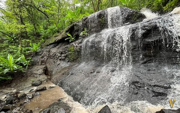Of Fields & Forests | A Secret Monsoon Trail - 4