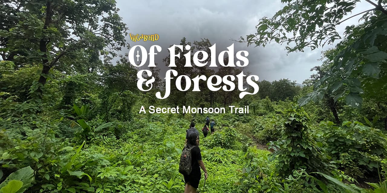 Of Fields & Forests | A Secret Monsoon Trail