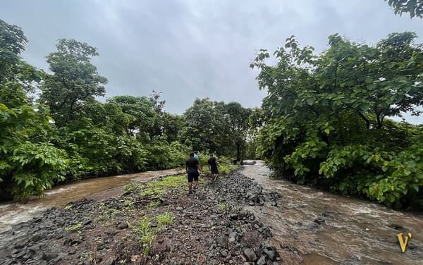 Of Fields & Forests | A Secret Monsoon Trail - 3