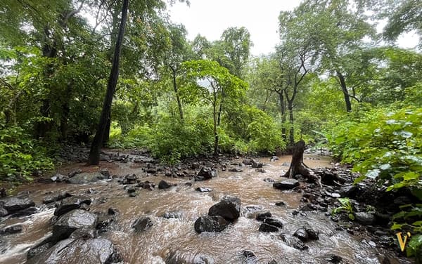 Of Fields & Forests | A Secret Monsoon Trail - 5