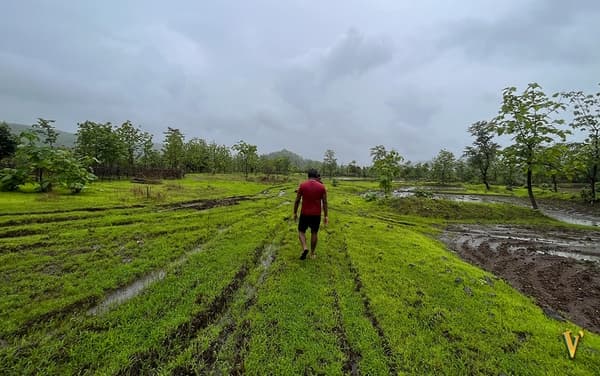 Of Fields & Forests | A Secret Monsoon Trail - 2