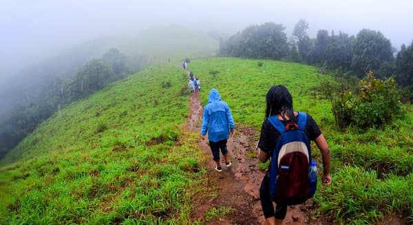 Kodachadri Trek via Hidlumane Falls - 4