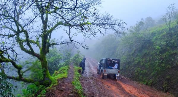 Kodachadri Trek via Hidlumane Falls - 5