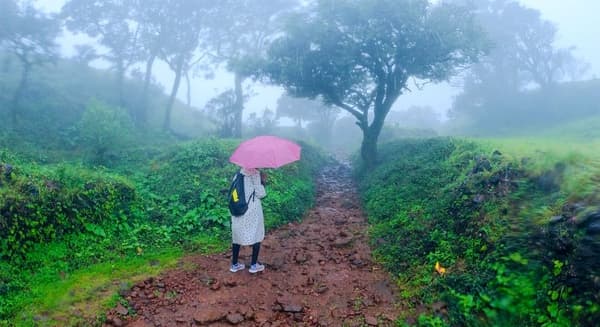 Kodachadri Trek via Hidlumane Falls - 3