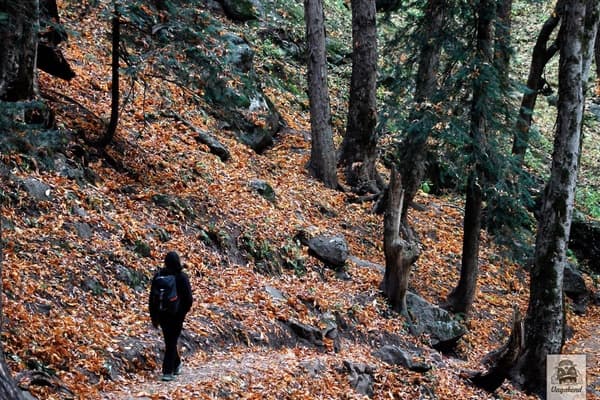 Parvati Valley | The Perfect Mountain Trip - 2