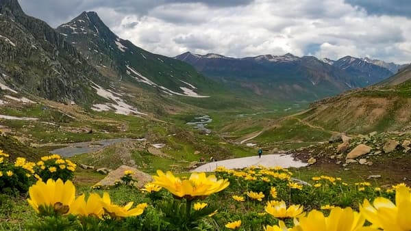 Kashmir Great Lakes Trek - 5
